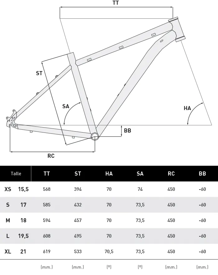 Grafico de geometría de la ANDES <span>29 COMP</span>