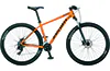 ANDES 29 COMP