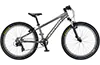 SALTUM 24